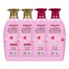 Organist Cherry Blossom Shampoo 500ml + Conditioner 500ml, 2 sets / 오가니스트 체리블라썸 샴푸 500ml + 컨디셔너 500ml, 2세트