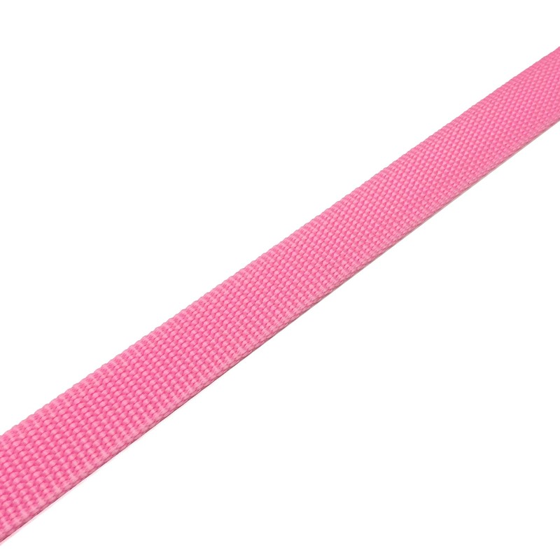TAIAN 5 FT Strong Dog Leash, Nylon Dog Leashes for