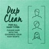 Garnier Hair Care Fructis Pure Clean Acondicionador, 12 onzas líquidas,