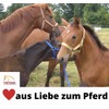 AMKA Hoof protection for horse hooves