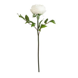 Nearly Natural 20-in Artificial Peony Flower Stems, Set of 3 Long Stem Artificial Flowers for Home or Office Décor, Faux Peony Flower Stems in White for DIY Decoration
