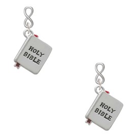 Delight Jewelry Silvertone Bible with Cross Silvertone Infinity Post Earrings