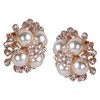 ASHI'S Collection rounded stud ear-ring with exquisite crystal and pearl.