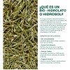Hidrolato de Romero Hebbe Cosmetics 1 L para Piel Grasa