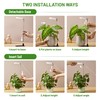 LBW Grow Light for Indoor Plants, Height Adjustable Plant Grow