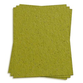 Chlorophyll Green Card Stock - 8 1/2 x 11 Bio Cycle 111lb Card Stock, 25 Pack