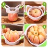 Apple Slicer Corer Set, Apple Slicer, Apple Corer, Professional Stainless