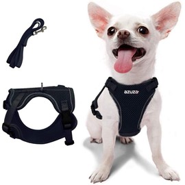 azuza Puppy Harness and Leash Set, Reflective Air Mesh Dog Vest Harness, All Weather Comfort Dog Harness for Small Dogs, Chest Girth: 18"-22"