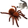 Escomdp Electric Spider Tarantula Animal Toy Realistic Vibrate Move Pets
