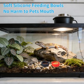 Gecko Feeding Bowls 12Pack Silicone Small Cups Reusable Food Water Dish Terrarium Bowls with 2 Feeding Spoon for Crested Gecko Leopard Gecko Lizards Snails Hermit Crabs Small Reptile