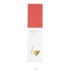 b idol Muchi Lip R 04 Gentle Pink 0.2 oz