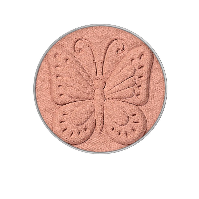 ANNA SUI Matte Eye Color 702