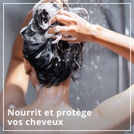 Le Petit Marseillais Nutrition Mask for Dry and Damaged Hair, Honey from Provence & Shea Organic