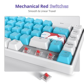 Fogruaden Wired 65% Percent Mechanical Keyboard,RGB Backlit Ultra-Compact 68 Keys Gaming Keyboard with Stand-Alone Arrow/Control Keys (Red Switch,Blue)