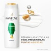 Pantene Pro-V Shampoo Restauración 500 ml