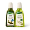 Rausch Oily Moisture Shampoo 2-Piece Set Seaweed Herbal Shampoo 200ml / 라우쉬 지성 수분 샴푸 2종세트 씨위드 허벌 샴푸 200ml