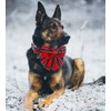 DOGWONG Christmas Dog Collar with Sailor Bow, Red Plaid Dog