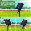Reallnaive 2025 Solar Pool Fountain for Above and Inground LED