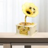 Retro Gramophone Music Box Classic Phonograph Shape Music Box for