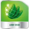 Polident denture attachment material 70g (mint flavor) x 5 /