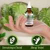 Advanced Clinicals Tea Tree Oil Serum for Acne Control Blemish