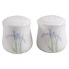 Corelle Coordinates Shadow Iris Salt and Pepper Shaker Set