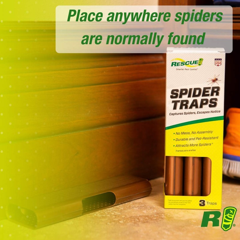 RESCUE! Spider Traps – Catches Brown Recluse, Hobo Spiders, Black