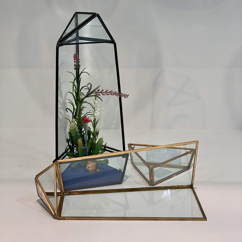 WGV Geometric Terrarium, Width 4", Height 11.5", Clear DIY Succulent