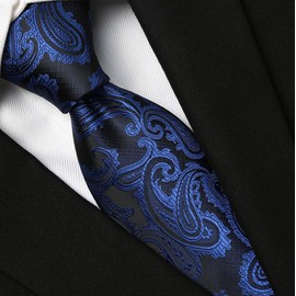 KissTies Mens Fashion Royal Blue Tie Paisley Formal Business Necktie + Gift Box