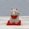 Yakushi Kiln Maneki Neko (Sabatora Naka), Lucky Come (Includes Lucky