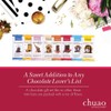 Chuao Chocolatier Salted Chocolate Crunch Dark Chocolate Bars | Gourmet