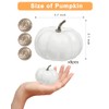 4 Inch Small White Pumpkins for Decorating - 8PCS Small
