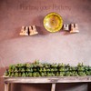 WINSOME Invisible Plate Hangers for Wall | Decorative Dish Display