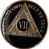 7 Year AA Medallion Glossy Classic Black Sobriety Chip VIIL8