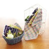Individually Wrapped, Imabari Towel Handkerchief 10-Piece Set, 3-Ply Gauze, Bulk