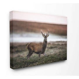 Stupell Industries Wild Deer Animal Landscape Photo Canvas Wall Art, 24 x 30, Multi-Color