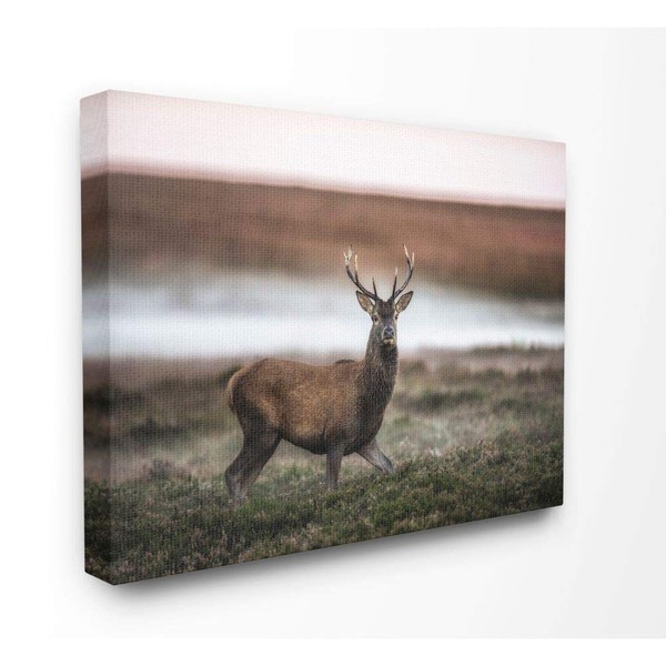 Stupell Industries Wild Deer Animal Landscape Photo Canvas Wall Art,