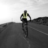 AYKRM Multiple colors optional High Visibility hi vis Reflective running