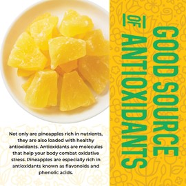 1 Pound. Dehydrated Pineapple Chunk, Dehydrated Pineapple Bulk Bits. All Natural, Non-GMO, Lightly Sweetened Dried Pineapples, 16 oz.