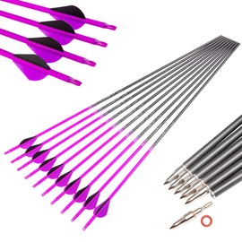 Pinals Archery Hunting 30" 400 Spine Arrows for Compound Bows Recurve Longbow Targets Carbon Shafts 12PCS