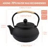 SECHUDO Japanese Tetsubin Cast Iron Teapot Tea Kettle pot with