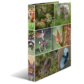 HERMA 19477 Ring Binders A4 Animals Forest Animals, Pack of 3, Narrow, 2 Rings, 35 mm Wide, Cardboard Folder with Inner Print for School and Office, Sturdy Cardboard Ring Binder Set for Boys and Girls