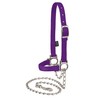 Weaver Leather Livestock Nylon Adjustable Sheep Halter with Chain Lead