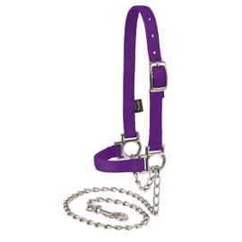 Weaver Leather Livestock Nylon Adjustable Sheep Halter with Chain Lead Purple Jazz, Average