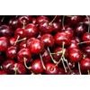 Harry & David Single Serve Coffee (Chocolate Cherry Decadence, 100