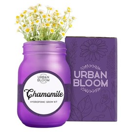 Urban Bloom Hydroponic Chamomile Flower Growing Kit - Indoor Flower Garden System in a Mason Jar - Flower Garden Kit for Indoor Greenhouse - Indoor Plant Hydroponic Growing System for Fresh Chamomile