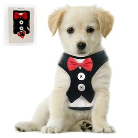 Bark Lover Small Puppy Harness with Bowtie, Adjustable Dog Vest Mesh Tuxedo Harness for Small Dog Kitten, Perfect for Party Wedding Holiday (XS, Black Velvet)