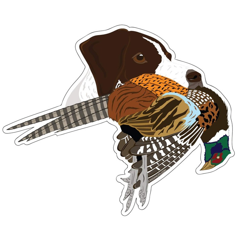German Shorthaired Pointer with Pheasant Sticker Decal