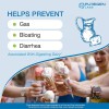 Puregen Dairy Rescue Fast Acting Lactase Enzyme 9000 FCC 360