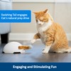 PetSafe Fox Den Automatic Interactive Cat Toy,White